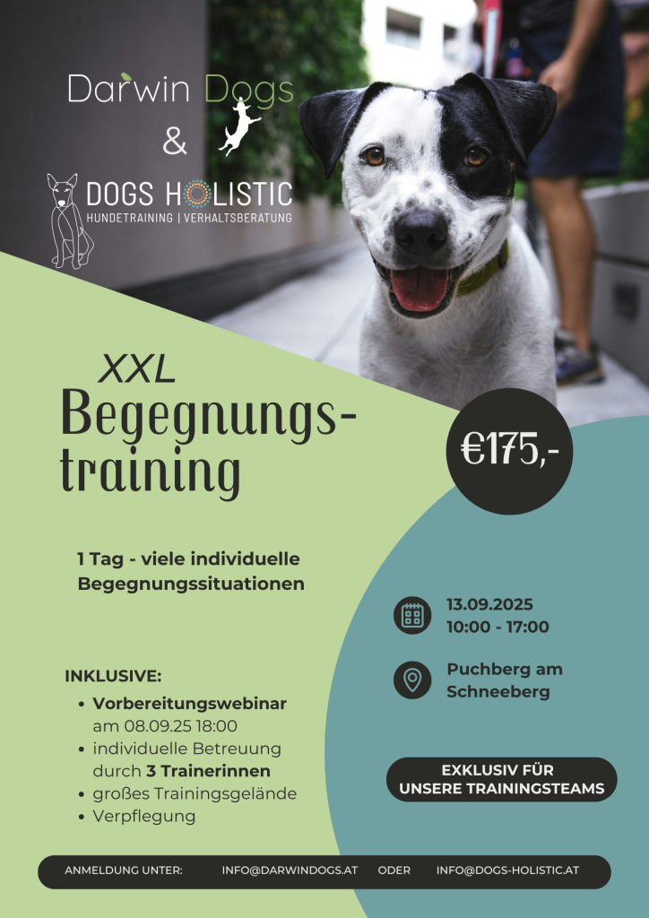 Aussschreibung XXL Begegnungstraining