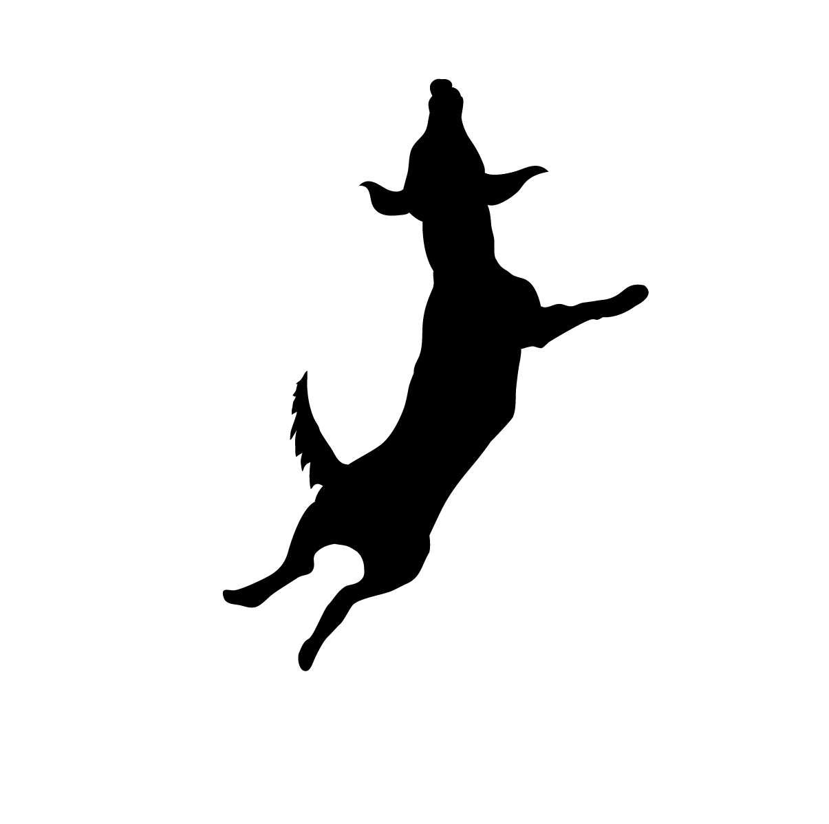 Darwin Dogs Reinzeichnung_Zeichenfläche 1 Kopie 3