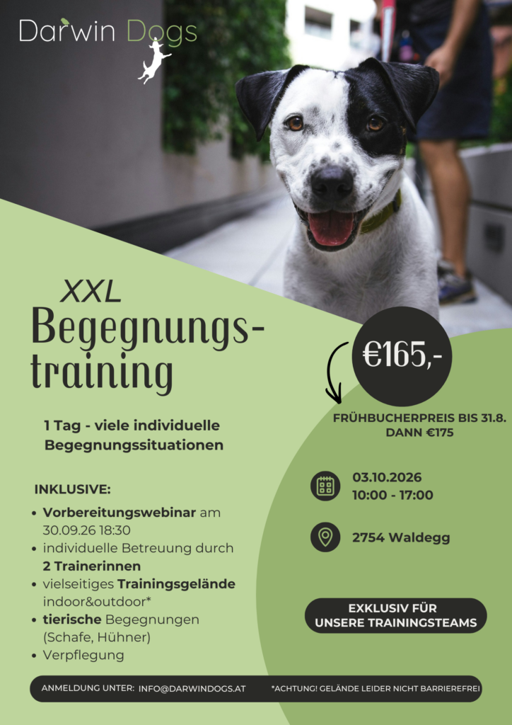 Begegnungstraining XXL