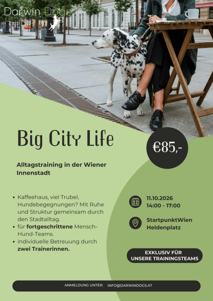 Big City Life